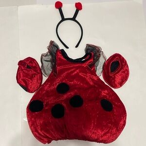 Lady Bug Toddler Costume SZ  1-2 Years